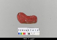 藏品(中國湖北皮影戲盔帽-合掌)的圖片